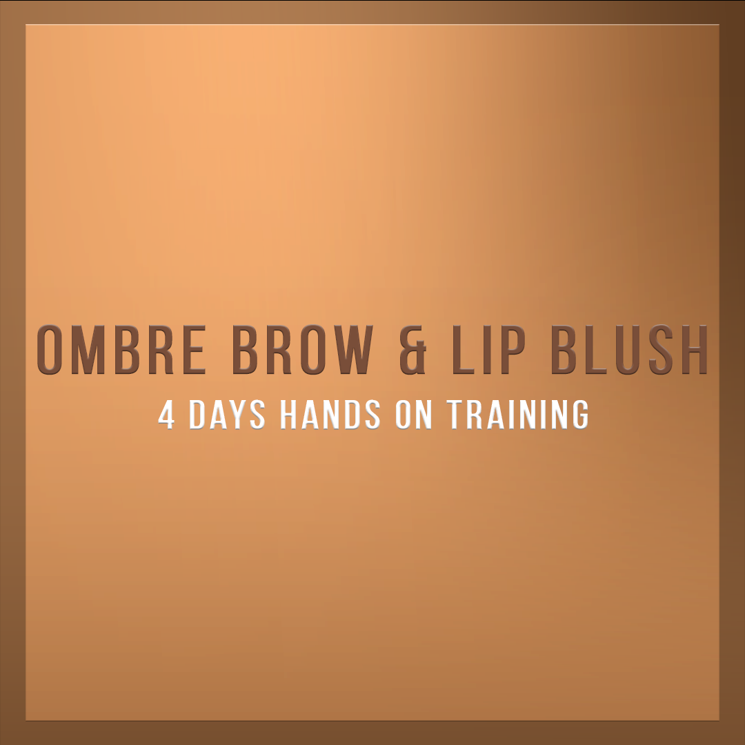 Ombre brow and lip blush training